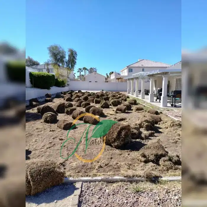 Fresh sod rolls staged for new lawn installation